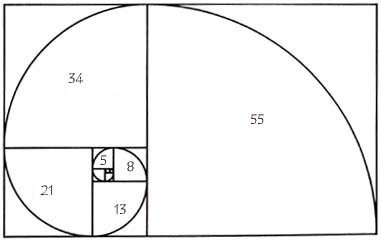 fibonaccispiral.jpg